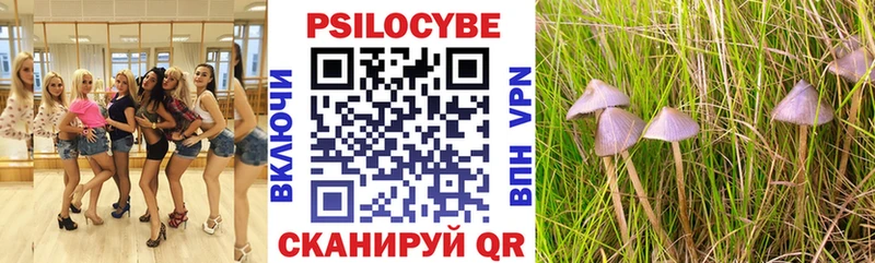 наркота  Фокино  Галлюциногенные грибы Cubensis 